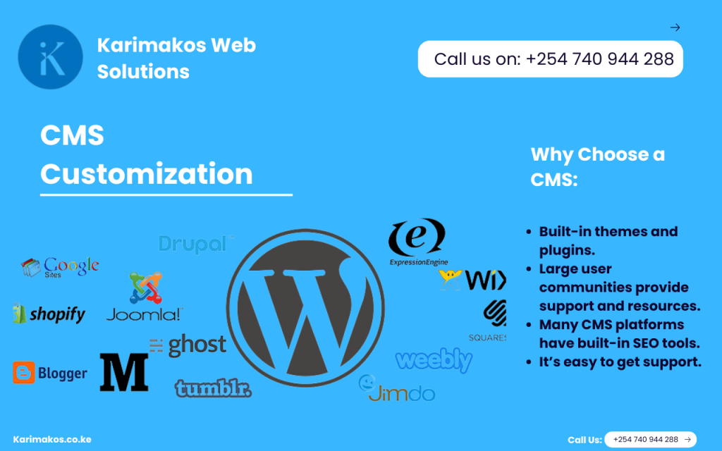 CMS customization